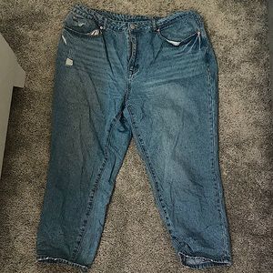 Shein Plus Mom Jeans